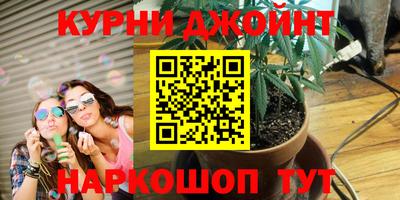 гидропоника Кингисепп