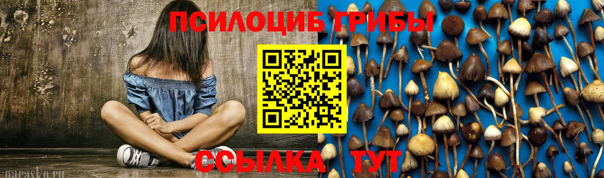 Галлюциногенные грибы MAGIC MUSHROOMS Ирбит