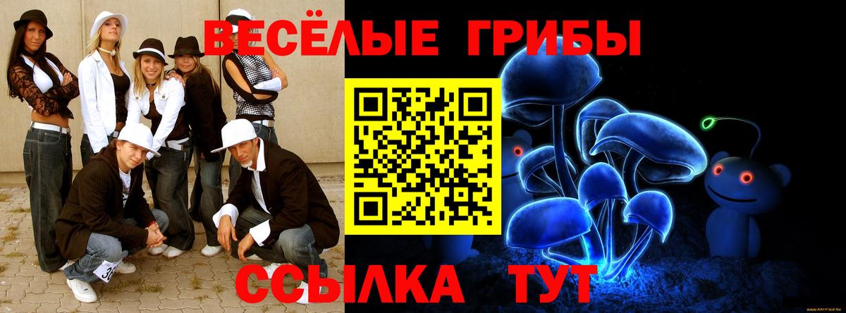 Галлюциногенные грибы прущие грибы  Вход с VPN  Ирбит 
